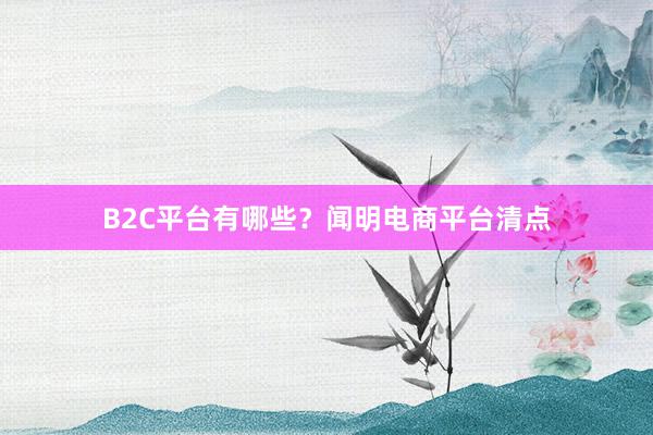 B2C平台有哪些?闻明电商平台清点