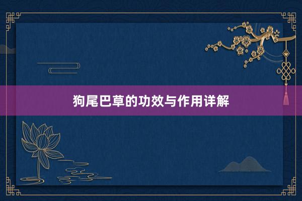 狗尾巴草的功效与作用详解