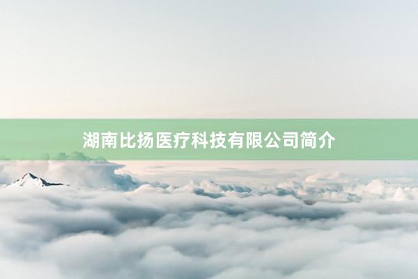湖南比扬医疗科技有限公司简介
