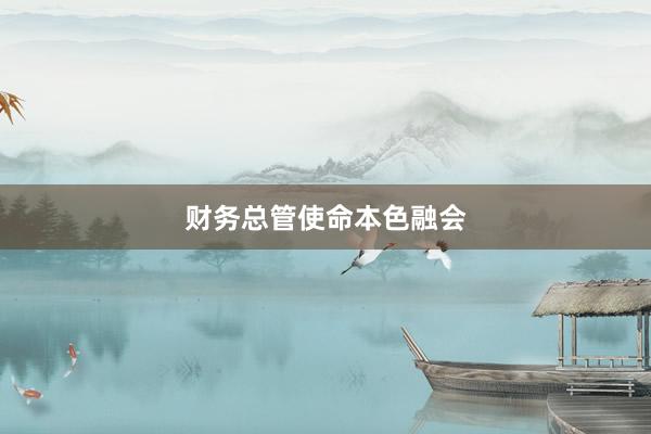 财务总管使命本色融会